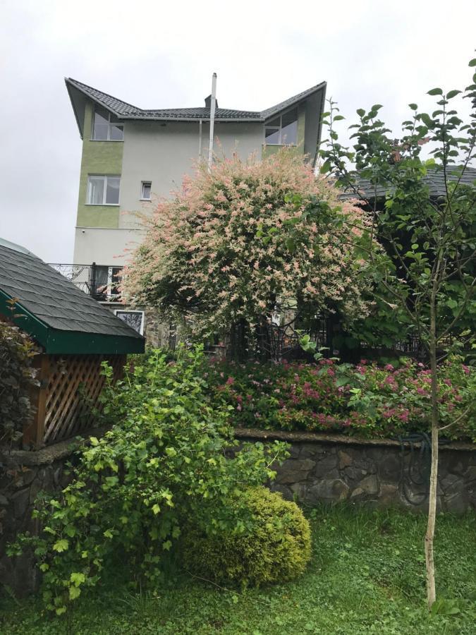 Apartamento Ярдана Skhidnytsia Exterior foto